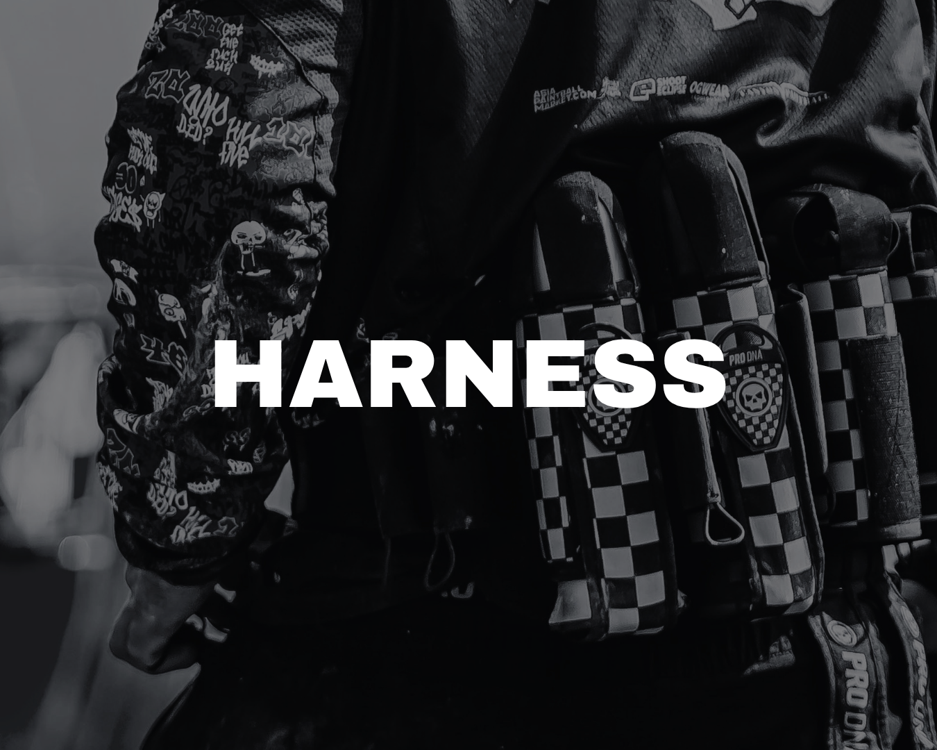 Harness